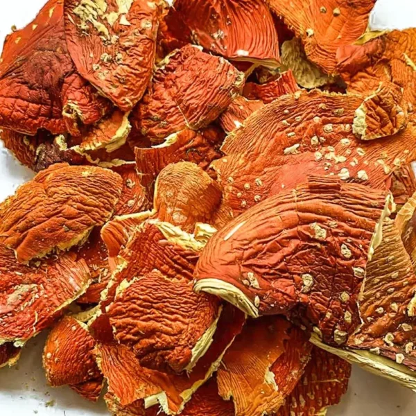Buy Amanita Muscaria Dried Mushroom UK